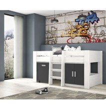 Cama Alta Juvenil con Escritorio y Armario Inferior 208,6 × 115,1 × 110,6 cm Color Blanco y Grafito