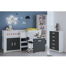 Cama Alta Juvenil con Escritorio y Armario Inferior 208,6 × 115,1 × 110,6 cm Color Blanco y Grafito