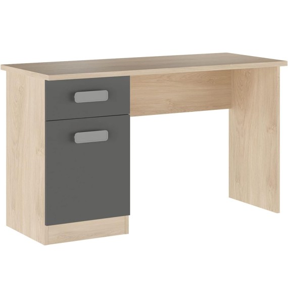 Mesa de Estudio, Escritorio con 2 Cajones, Mesa de Ordenador, Acabado en Color Grafito y Cambrian 70.8 x 120 x 49.8 cm