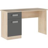 Mesa de Estudio, Escritorio con 2 Cajones, Mesa de Ordenador, Acabado en Color Grafito y Cambrian 70.8 x 120 x 49.8 cm